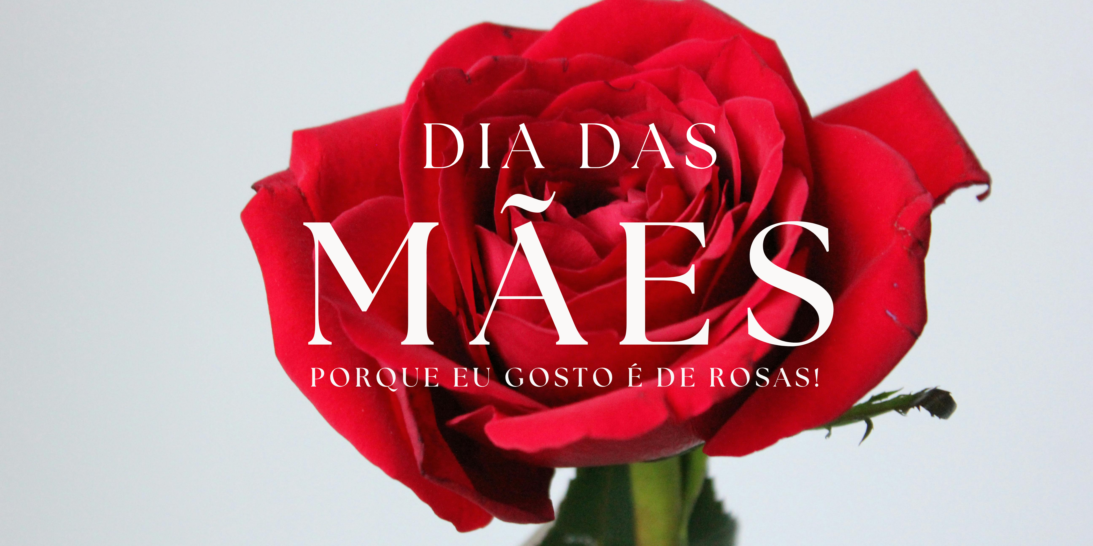 Banner Desktop Up!Criative